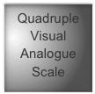 Quadruple Visual Analogue Scale